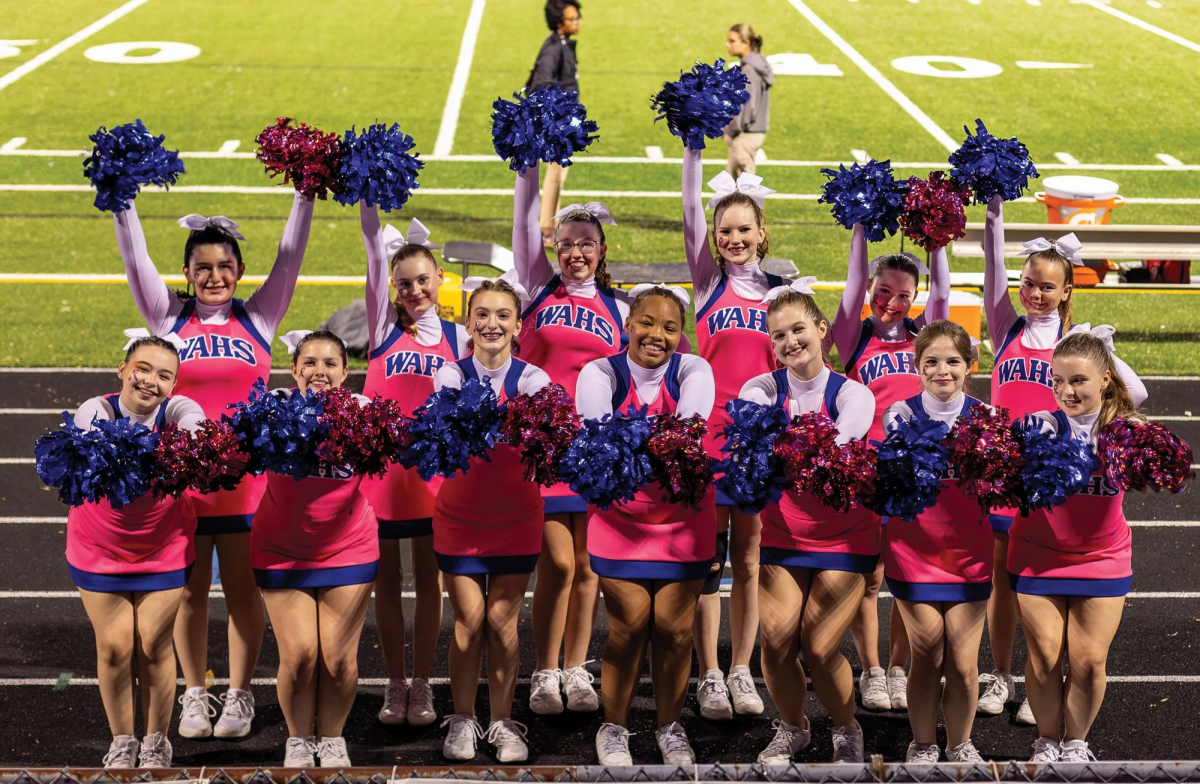 Varisty cheerleaders in special breast cancer awareness uniforms, from left: Back row: MacKenzie Harris, Samantha Bailes, McKinzy Hocutt, Tessa Valmarana, Gwyneth Powell, Layla Appold. Front row: Leigha Critzer, Chloe Coleman, Laila Shelton, Claire Curry (Captain), Peri Stevens (Captain), Macie Morris, Madison Marks. Photo: Ron Wade.